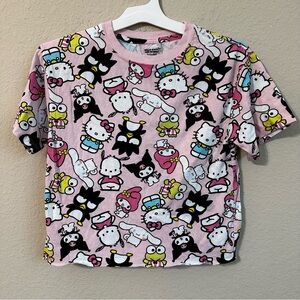 Sanrio Hello Kitty & Friends T-Shirt Pink Short Sleeve Multicolor Characters Tee